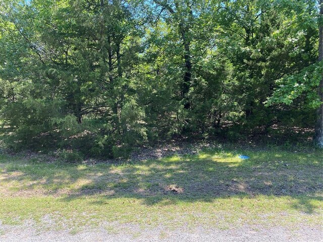 20 Durango St, Canadian, OK 74425 - photo 1