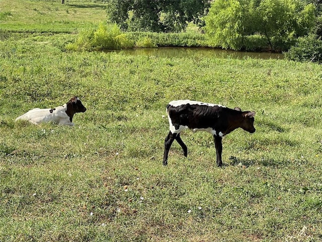 40768 State Highway 39, Asher, OK 74826 - photo 34