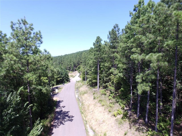 215 Up Hilly Trl, Broken Bow, OK 74728 - photo 4