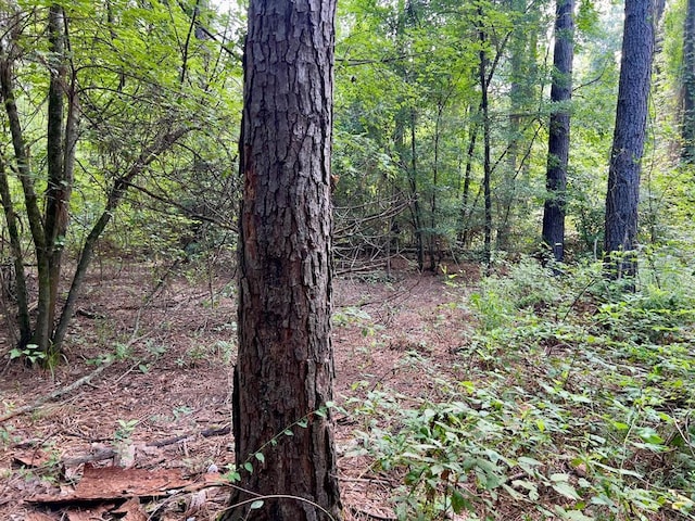 10 Sundrop Rd, Broken Bow, OK 74728 - photo 14