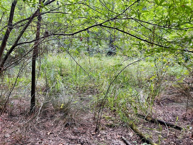 10 Sundrop Rd, Broken Bow, OK 74728 - photo 20