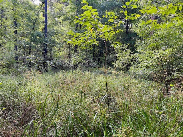 10 Sundrop Rd, Broken Bow, OK 74728 - photo 21