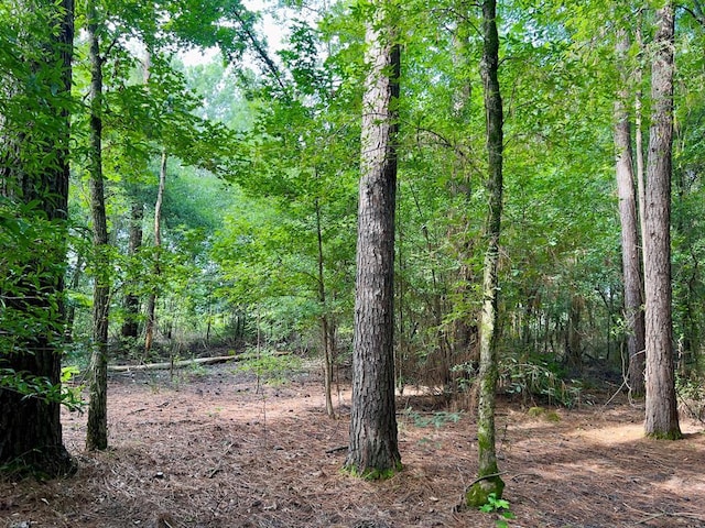 10 Sundrop Rd, Broken Bow, OK 74728 - photo 23