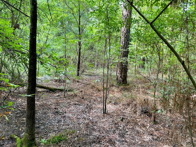 10 Sundrop Rd, Broken Bow, OK 74728 - photo 24