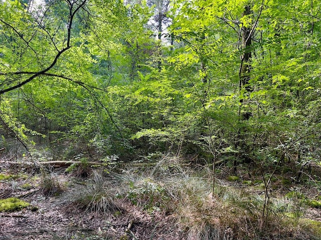 10 Sundrop Rd, Broken Bow, OK 74728 - photo 26