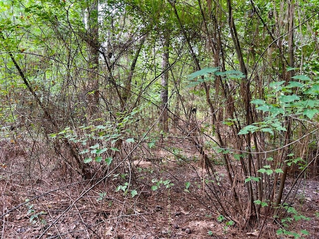 10 Sundrop Rd, Broken Bow, OK 74728 - photo 29
