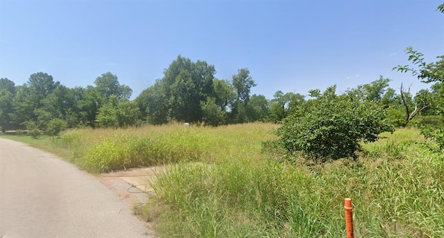 414 Shady Lane Dr, Cache, OK 73527 - photo 3