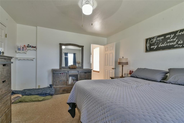 22183 Jean Amerson Dr, Tecumseh, OK 74873 - photo 18