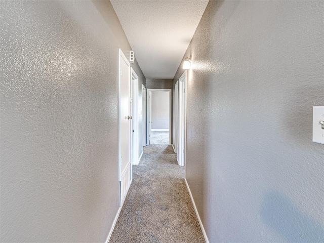1217 N Market Ave, Shawnee, OK 74801 - photo 13