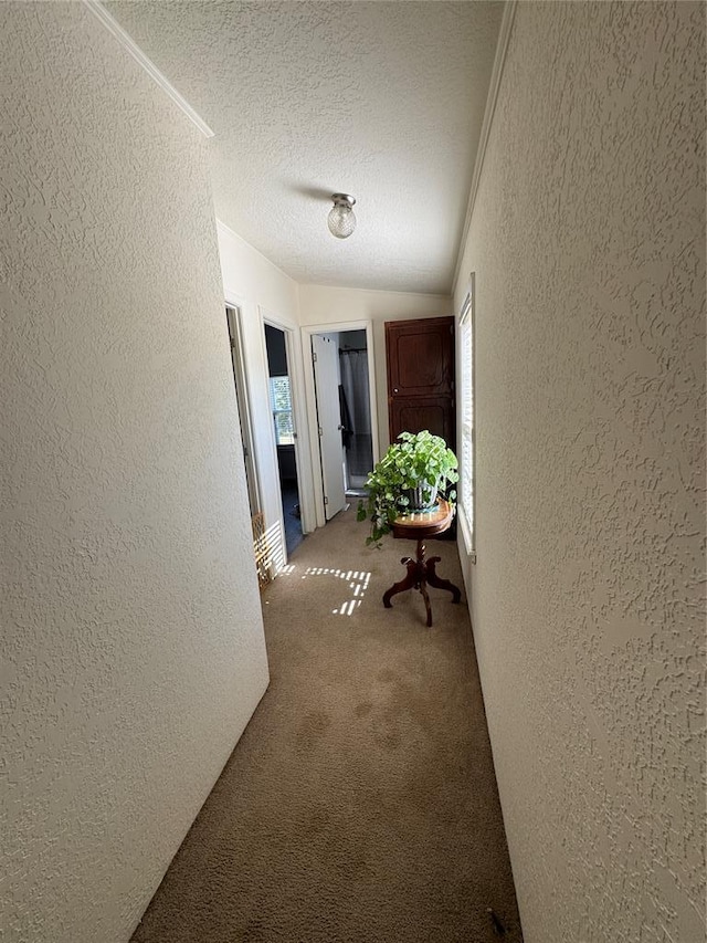 35448 Ew 1240th Rd, Seminole, OK 74868 - photo 34
