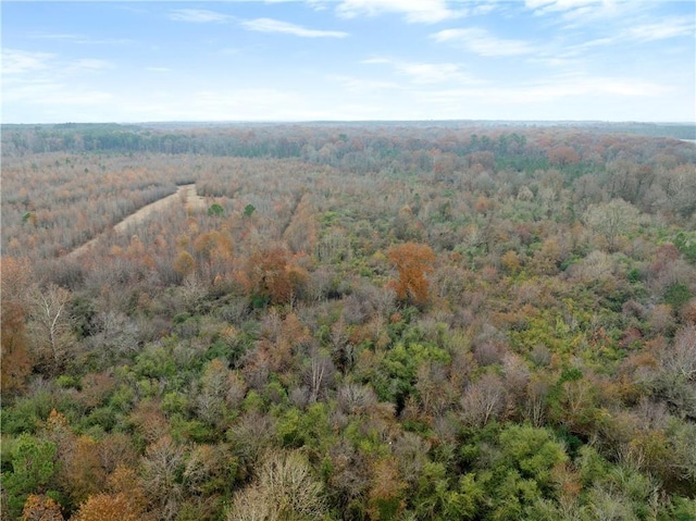 Craig Rd, Broken Bow, OK 74278 - photo 3