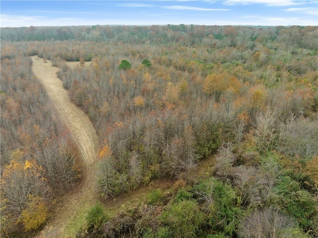 Craig Rd, Broken Bow, OK 74278 - photo 4