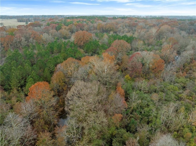 Craig Rd, Broken Bow, OK 74278 - photo 9