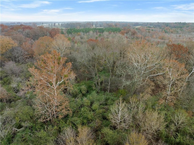Craig Rd, Broken Bow, OK 74278 - photo 10