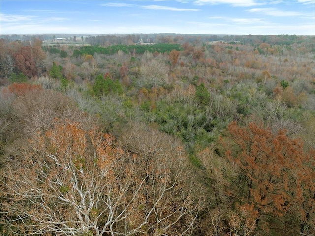 Craig Rd, Broken Bow, OK 74278 - photo 11