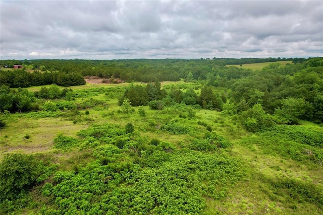 0006 W 80th St, Coyle, OK 73027 - photo 21