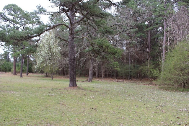 194046 N 4210th Rd, Antlers, OK 74523 - photo 12