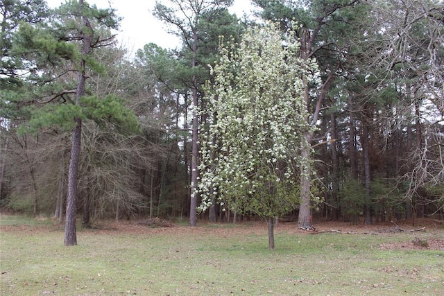 194046 N 4210th Rd, Antlers, OK 74523 - photo 13