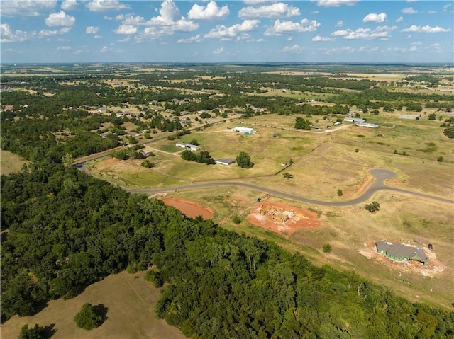730 Hidden View Acres Dr, Blanchard, OK 73010 - photo 13