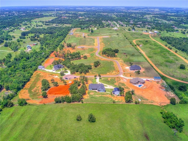 730 Hidden View Acres Dr, Blanchard, OK 73010 - photo 4