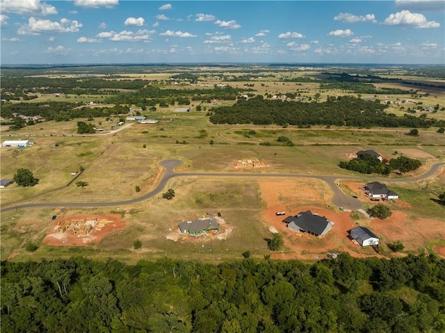 730 Hidden View Acres Dr, Blanchard, OK 73010 - photo 12