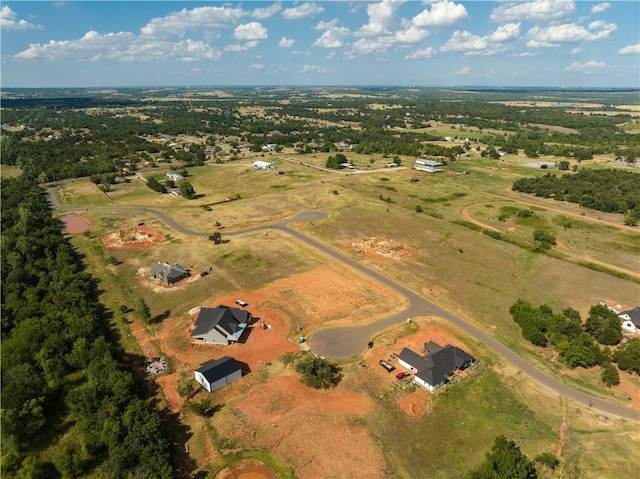 730 Hidden View Acres Dr, Blanchard, OK 73010 - photo 9