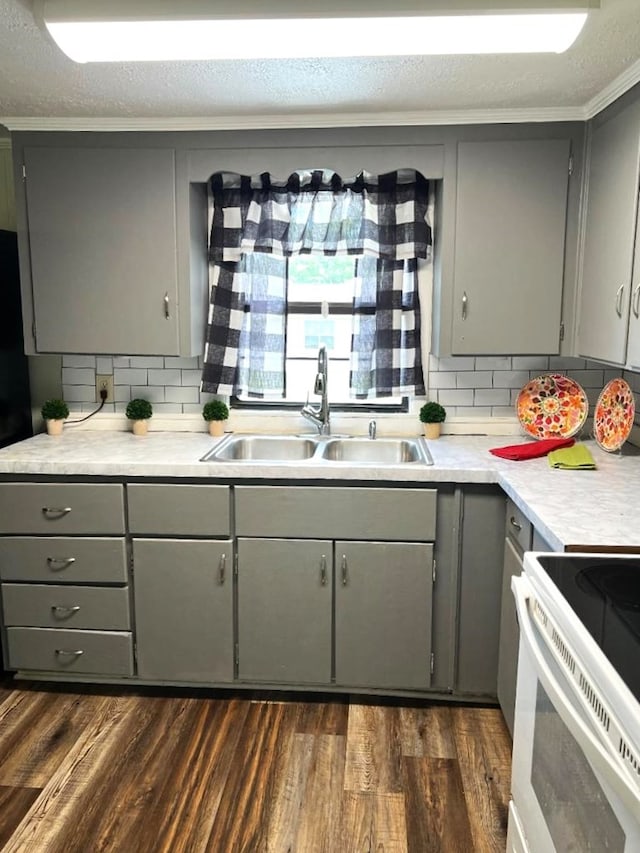 4123 S State Highway 605, Dothan, AL 36301 - kitchen featuring gray cabinetry, a sink, backsplash, and dark wood-type flooring
