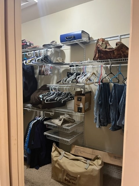 spacious closet featuring carpet flooring