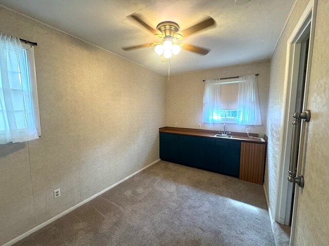 2403 Stonebridge Rd, Dothan, AL 36301 - bar area with a sink, a ceiling fan, and carpet flooring