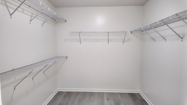 walk in closet featuring wood finished floors