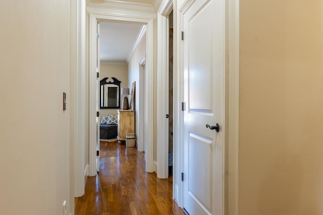 corridor featuring dark hardwood / wood-style floors and ornamental molding