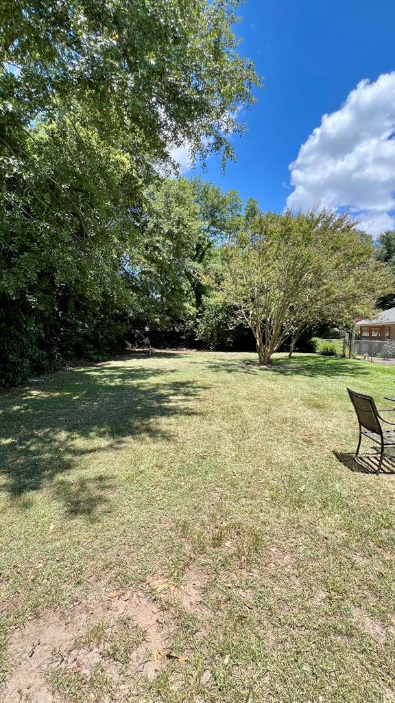 1 Boynton St, Headland, AL 36345 - photo 65