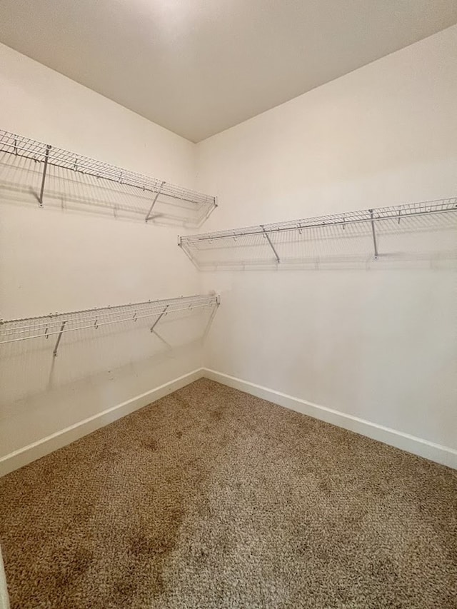 114 Brattleboro Ct, Dothan, AL 36301 - spacious closet with carpet floors