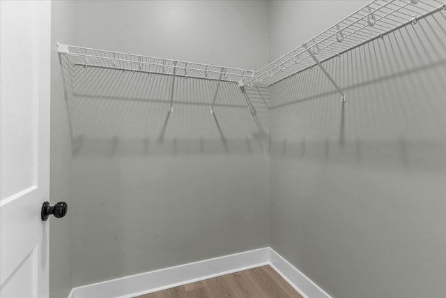 195 County Road 711, Enterprise, AL 36330 - spacious closet with wood finished floors