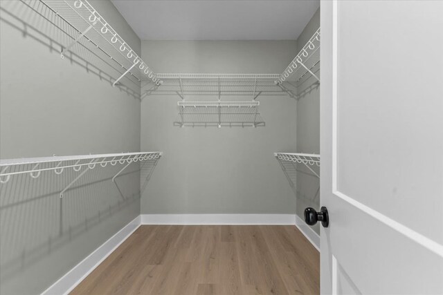195 County Road 711, Enterprise, AL 36330 - spacious closet featuring wood finished floors