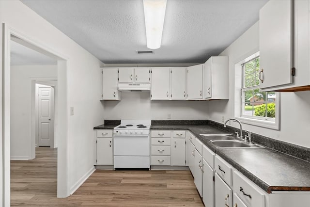618 Langley Dr, Dothan, AL 36301 - kitchen with white range with electric cooktop, a sink, under cabinet range hood, light wood-type flooring, and a textured ceiling