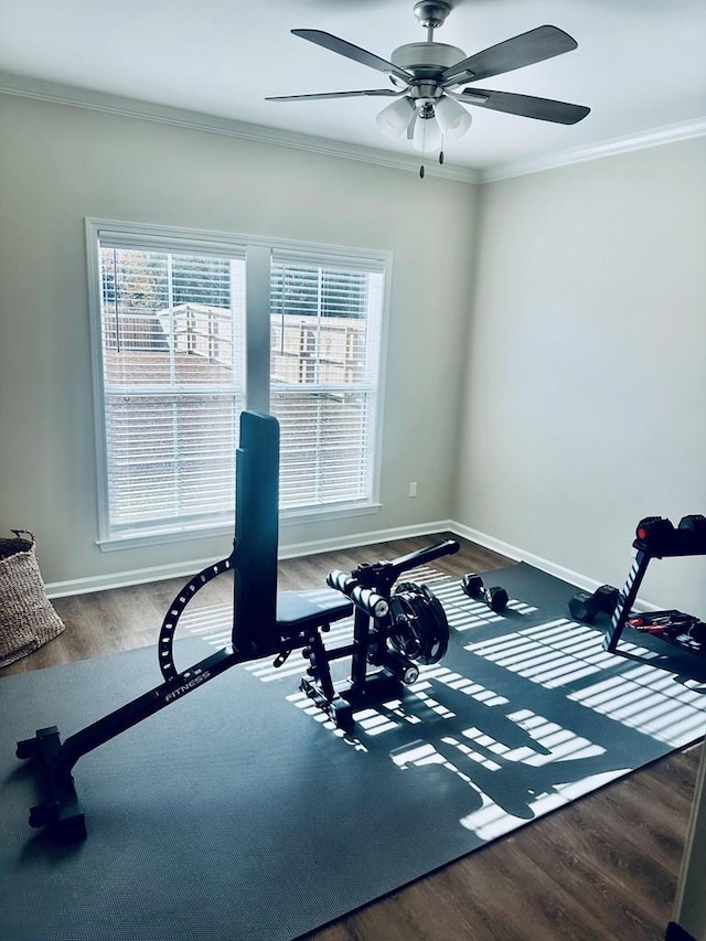 exercise area with hardwood / wood-style flooring, crown molding, ceiling fan, and a healthy amount of sunlight