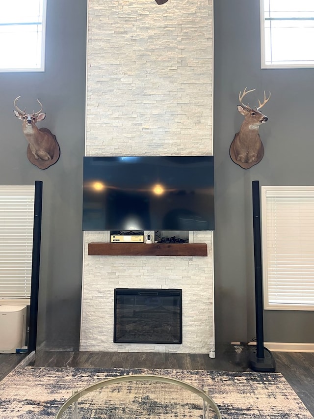 interior details featuring a stone fireplace and wood finished floors