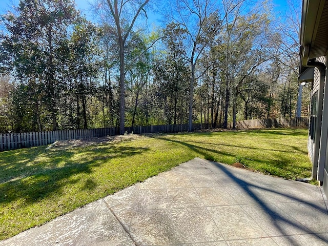 view of yard with a fenced backyard and a patio area