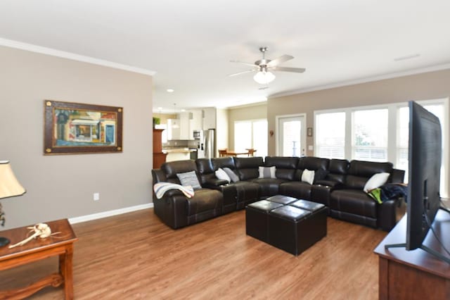 living room featuring ceiling fan, light hardwood / wood-style flooring, and crown molding