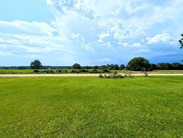 1370 Coach Rd, Slocomb, AL 36375 - view of grassy yard with a rural view