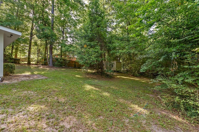 139 Merrydell Dr, Ozark, AL 36360 - view of yard