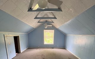 additional living space featuring lofted ceiling and light carpet