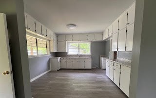 kitchen with white cabinetry, a wealth of natural light, and wood-type flooring