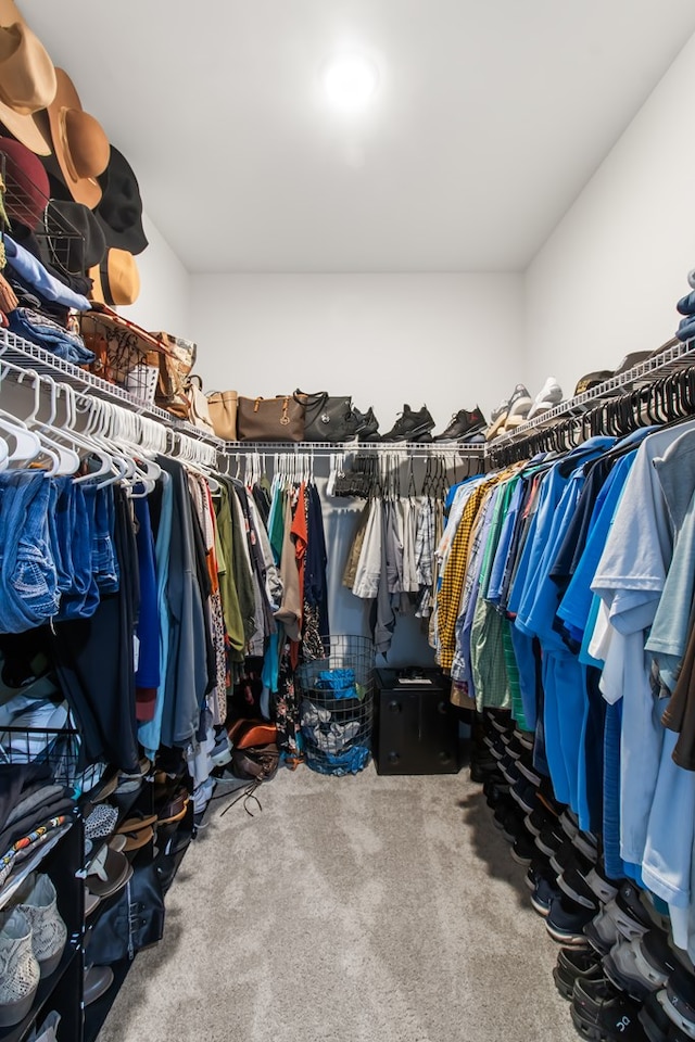 spacious closet featuring carpet flooring