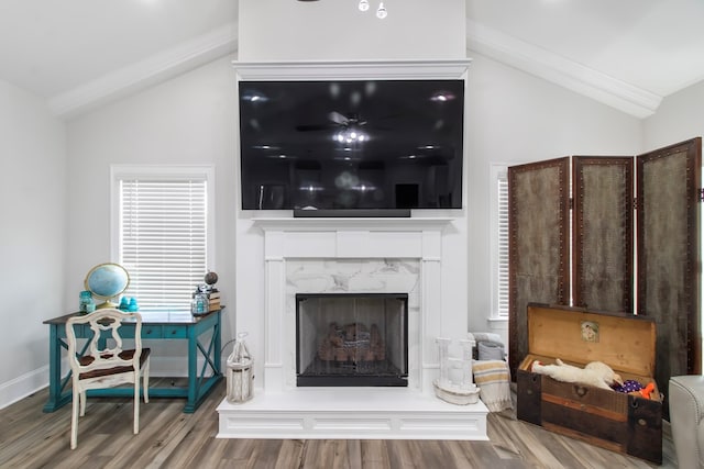 living room with hardwood / wood-style floors, lofted ceiling, and a premium fireplace