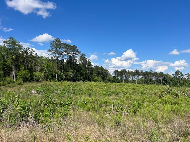 LOT6 Gordon Williams Rd, Columbia, AL 36319