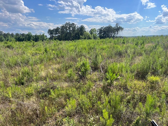 LOT13 County Road 22, Columbia, AL 36319
