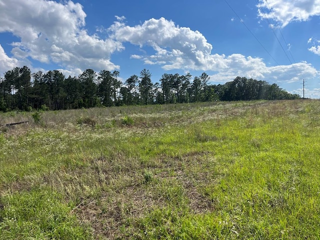 LOT13 County Road 22, Columbia, AL 36319