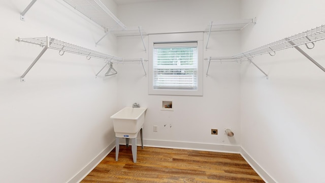 laundry room featuring electric dryer hookup, hookup for a washing machine, and hardwood / wood-style floors